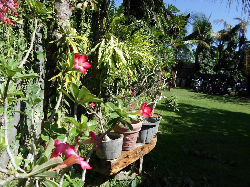Bali Aman Darling House Hotel Canggu Екстериор снимка