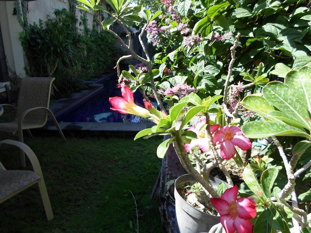Bali Aman Darling House Hotel Canggu Екстериор снимка
